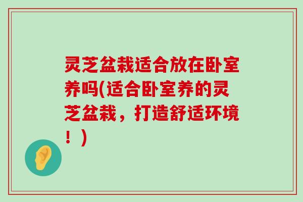 灵芝盆栽适合放在卧室养吗(适合卧室养的灵芝盆栽，打造舒适环境！)