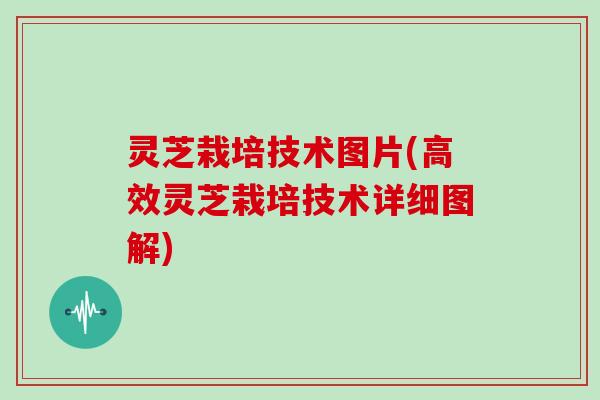 灵芝栽培技术图片(高效灵芝栽培技术详细图解)