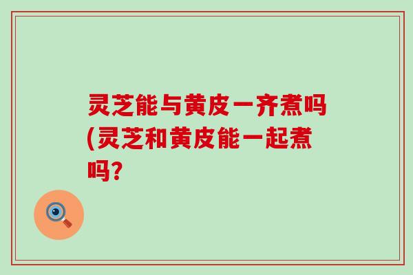 灵芝能与黄皮一齐煮吗(灵芝和黄皮能一起煮吗？