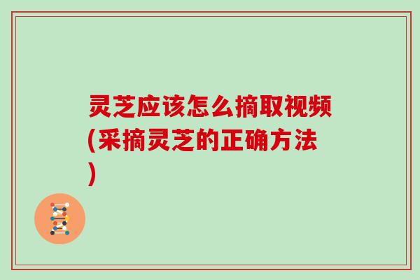 灵芝应该怎么摘取视频(采摘灵芝的正确方法)