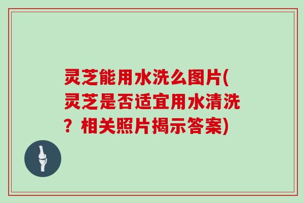 灵芝能用水洗么图片(灵芝是否适宜用水清洗？相关照片揭示答案)