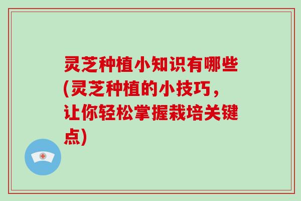 灵芝种植小知识有哪些(灵芝种植的小技巧，让你轻松掌握栽培关键点)