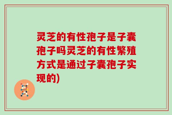 灵芝的有性孢子是子囊孢子吗灵芝的有性繁殖方式是通过子囊孢子实现的)