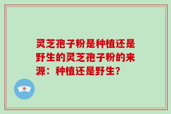 灵芝孢子粉是种植还是野生的灵芝孢子粉的来源：种植还是野生？