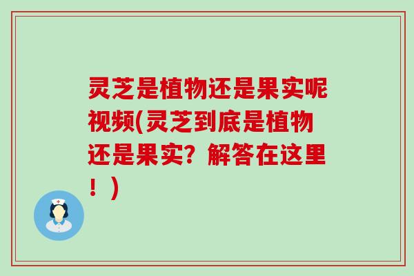 灵芝是植物还是果实呢视频(灵芝到底是植物还是果实？解答在这里！)