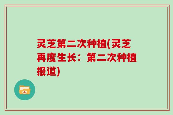 灵芝第二次种植(灵芝再度生长：第二次种植报道)