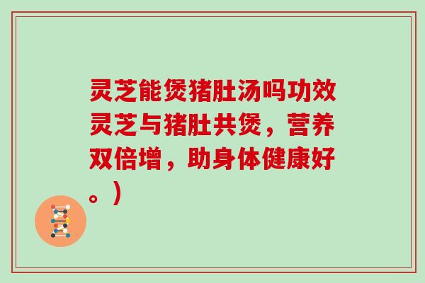 灵芝能煲猪肚汤吗功效灵芝与猪肚共煲，营养双倍增，助身体健康好。)