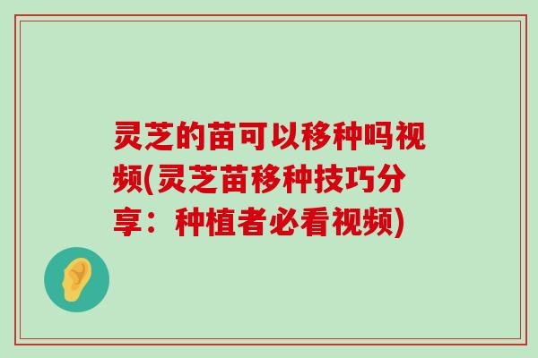 灵芝的苗可以移种吗视频(灵芝苗移种技巧分享：种植者必看视频)