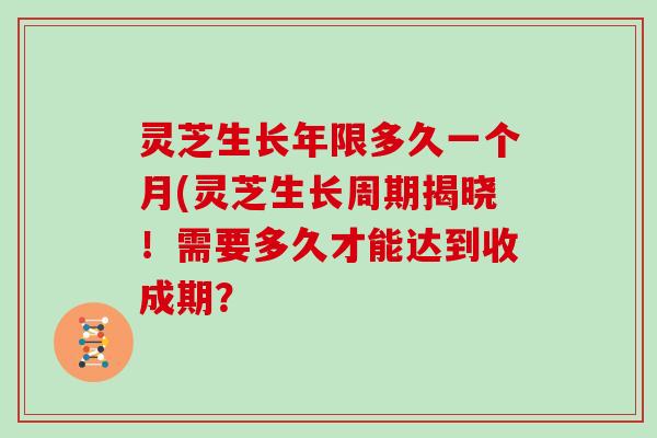 灵芝生长年限多久一个月(灵芝生长周期揭晓！需要多久才能达到收成期？