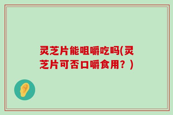 灵芝片能咀嚼吃吗(灵芝片可否口嚼食用？)