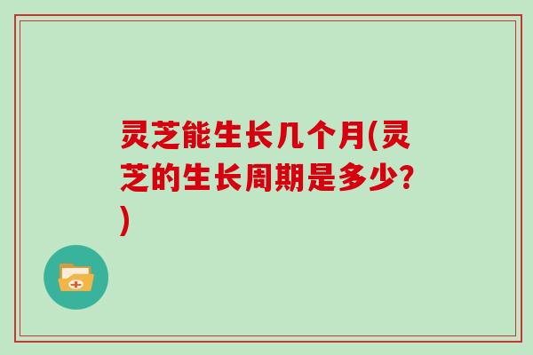 灵芝能生长几个月(灵芝的生长周期是多少？)