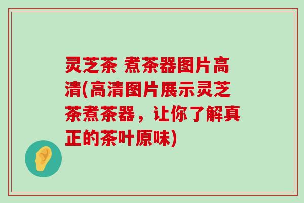 灵芝茶 煮茶器图片高清(高清图片展示灵芝茶煮茶器，让你了解真正的茶叶原味)