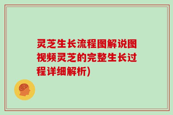 灵芝生长流程图解说图视频灵芝的完整生长过程详细解析)