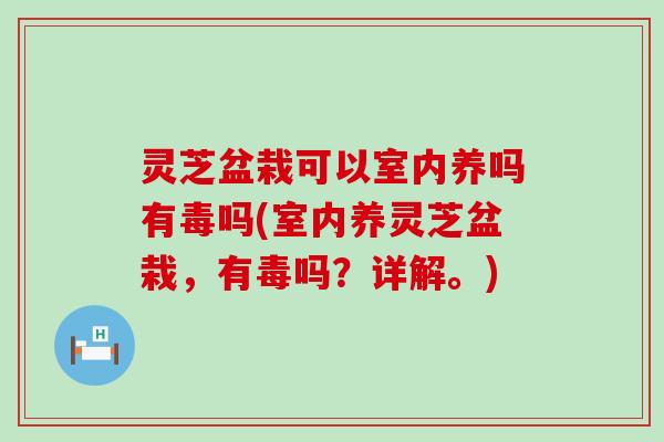 灵芝盆栽可以室内养吗有毒吗(室内养灵芝盆栽，有毒吗？详解。)