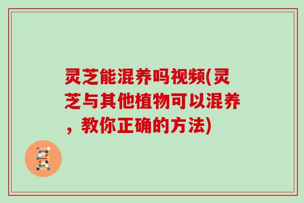 灵芝能混养吗视频(灵芝与其他植物可以混养，教你正确的方法)