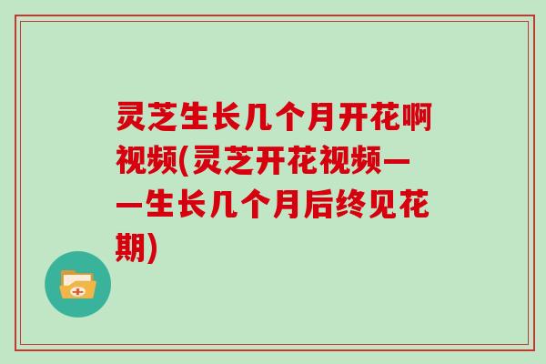 灵芝生长几个月开花啊视频(灵芝开花视频——生长几个月后终见花期)