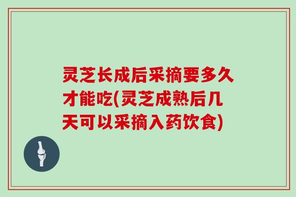 灵芝长成后采摘要多久才能吃(灵芝成熟后几天可以采摘入药饮食)