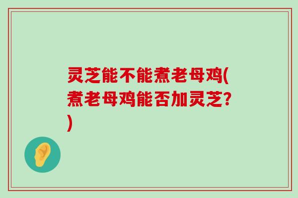 灵芝能不能煮老母鸡(煮老母鸡能否加灵芝？)