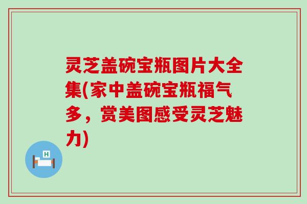 灵芝盖碗宝瓶图片大全集(家中盖碗宝瓶福气多，赏美图感受灵芝魅力)