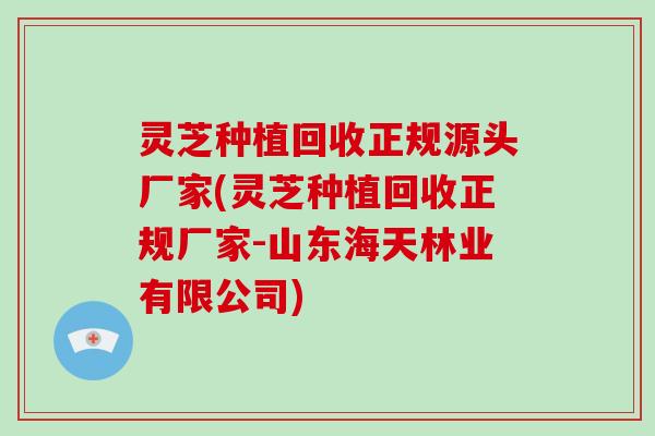 灵芝种植回收正规源头厂家(灵芝种植回收正规厂家-山东海天林业有限公司)