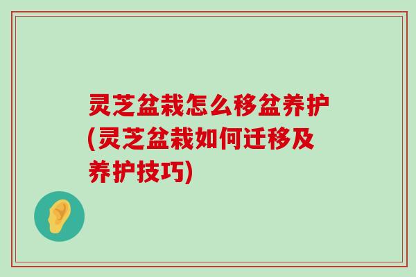 灵芝盆栽怎么移盆养护(灵芝盆栽如何迁移及养护技巧)