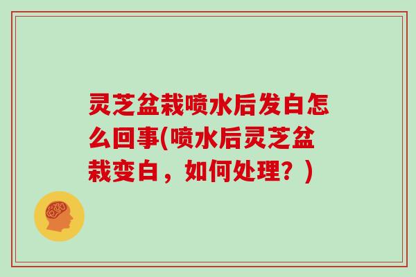 灵芝盆栽喷水后发白怎么回事(喷水后灵芝盆栽变白，如何处理？)