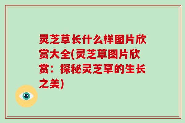 灵芝草长什么样图片欣赏大全(灵芝草图片欣赏：探秘灵芝草的生长之美)