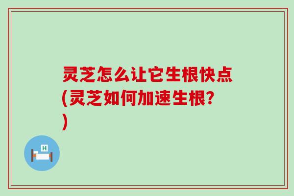 灵芝怎么让它生根快点(灵芝如何加速生根？)