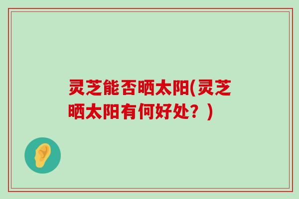 灵芝能否晒太阳(灵芝晒太阳有何好处？)