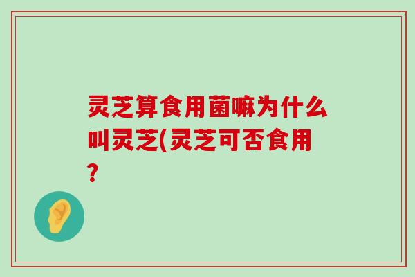 灵芝算食用菌嘛为什么叫灵芝(灵芝可否食用？