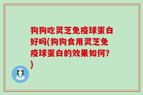 狗狗吃灵芝免疫球蛋白好吗(狗狗食用灵芝免疫球蛋白的效果如何？)