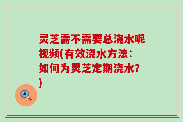 灵芝需不需要总浇水呢视频(有效浇水方法：如何为灵芝定期浇水？)