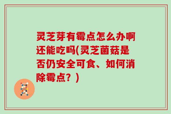 灵芝芽有霉点怎么办啊还能吃吗(灵芝菌菇是否仍安全可食、如何消除霉点？)