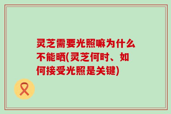 灵芝需要光照嘛为什么不能晒(灵芝何时、如何接受光照是关键)