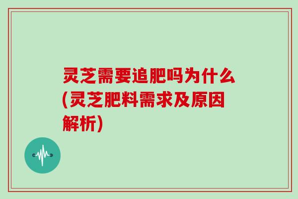 灵芝需要追肥吗为什么(灵芝肥料需求及原因解析)