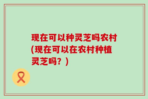 现在可以种灵芝吗农村(现在可以在农村种植灵芝吗？)