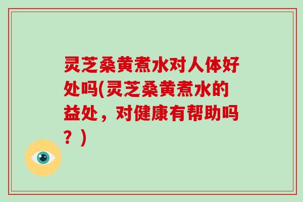 灵芝桑黄煮水对人体好处吗(灵芝桑黄煮水的益处，对健康有帮助吗？)