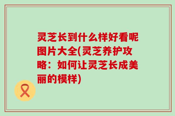 灵芝长到什么样好看呢图片大全(灵芝养护攻略：如何让灵芝长成美丽的模样)