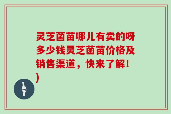 灵芝菌苗哪儿有卖的呀多少钱灵芝菌苗价格及销售渠道，快来了解！)