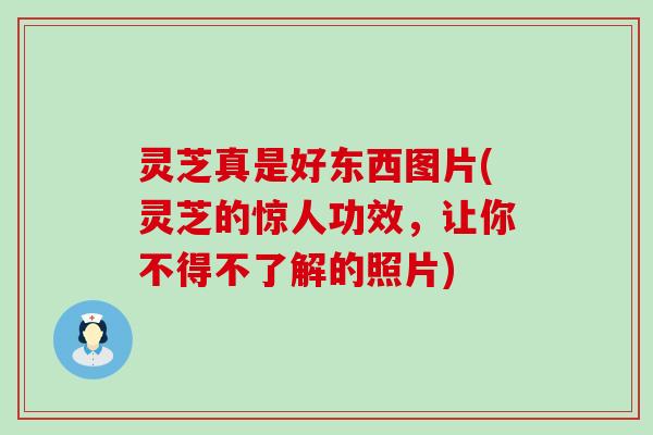 灵芝真是好东西图片(灵芝的惊人功效，让你不得不了解的照片)