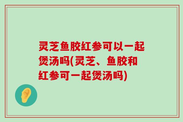 灵芝鱼胶红参可以一起煲汤吗(灵芝、鱼胶和红参可一起煲汤吗)