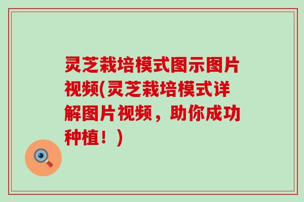 灵芝栽培模式图示图片视频(灵芝栽培模式详解图片视频，助你成功种植！)