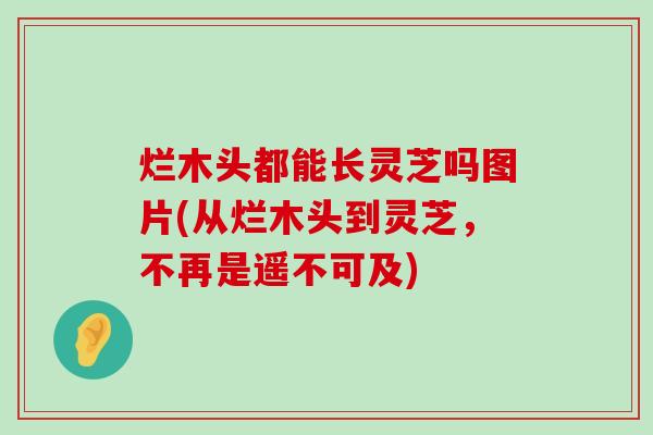 烂木头都能长灵芝吗图片(从烂木头到灵芝，不再是遥不可及)