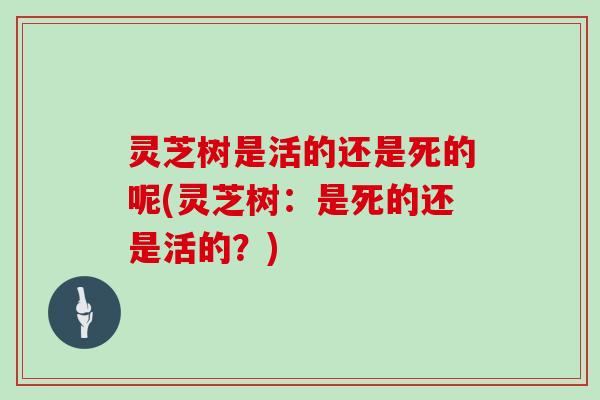 灵芝树是活的还是死的呢(灵芝树：是死的还是活的？)