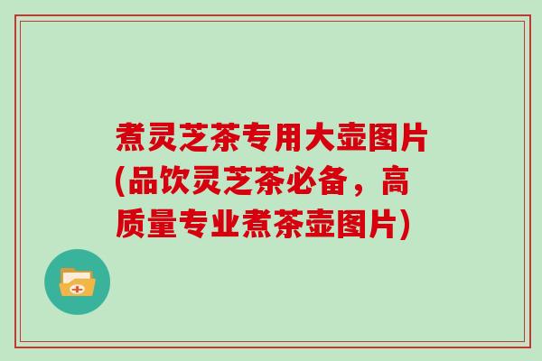 煮灵芝茶专用大壶图片(品饮灵芝茶必备，高质量专业煮茶壶图片)