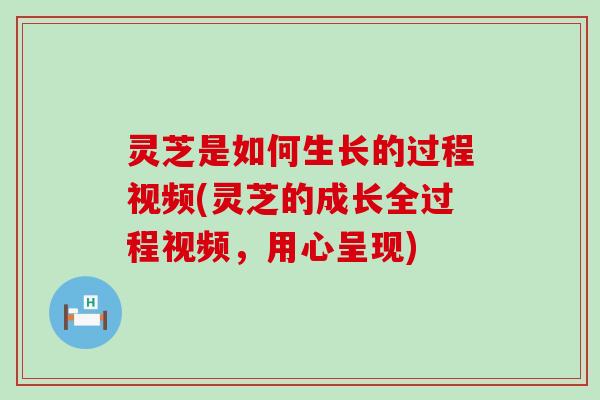 灵芝是如何生长的过程视频(灵芝的成长全过程视频，用心呈现)