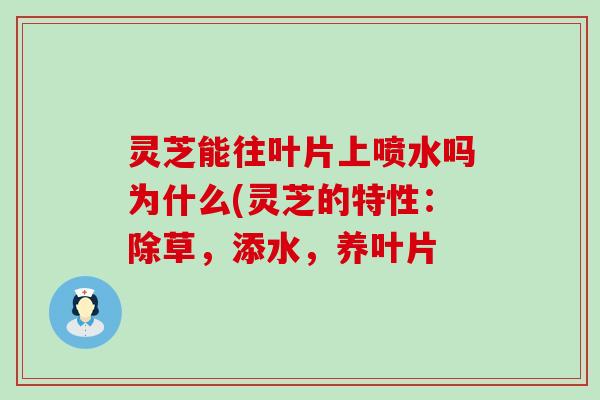 灵芝能往叶片上喷水吗为什么(灵芝的特性：除草，添水，养叶片