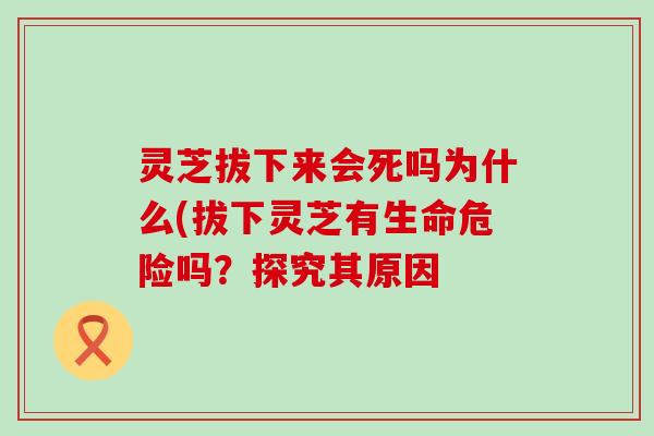 灵芝拔下来会死吗为什么(拔下灵芝有生命危险吗？探究其原因