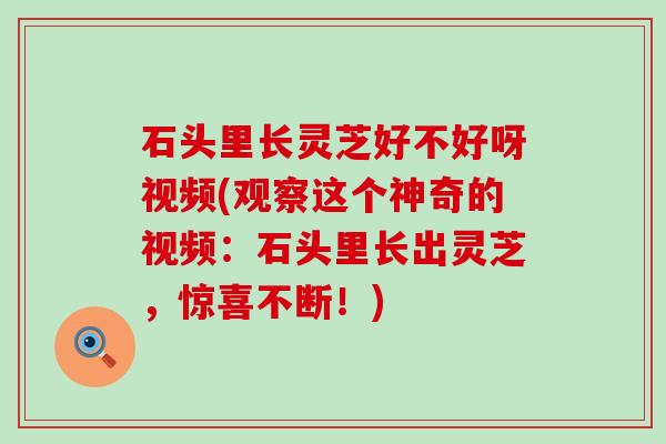 石头里长灵芝好不好呀视频(观察这个神奇的视频：石头里长出灵芝，惊喜不断！)