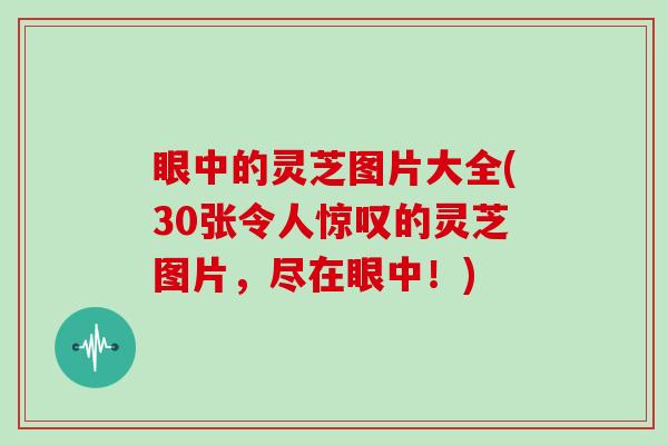 眼中的灵芝图片大全(30张令人惊叹的灵芝图片，尽在眼中！)